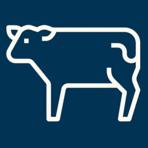 bovine-icon