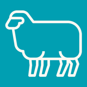 ovine-icon