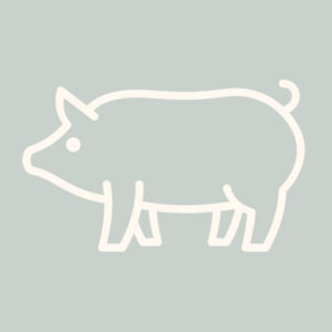 swine-icon